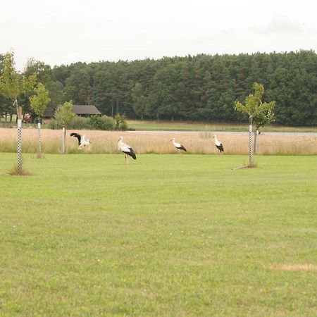 Haeusla Villa Dannberg Exteriör bild